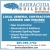 Local General Contractor Licensed and Insured