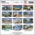 The Remax Collection