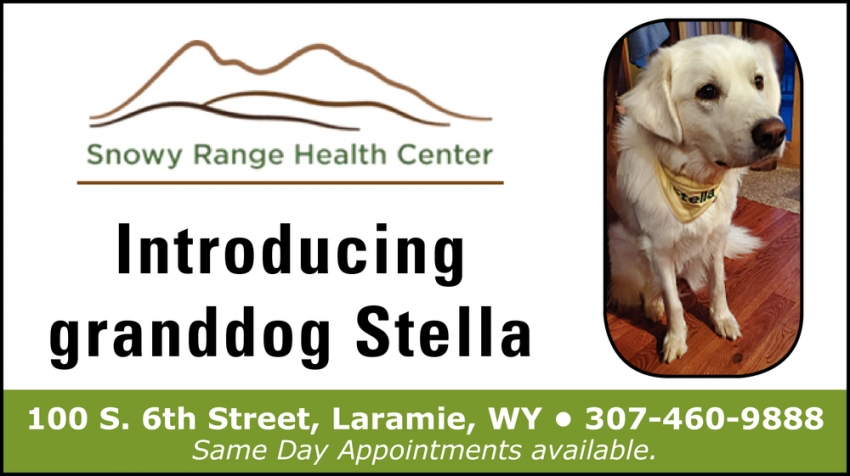 Introducing Granddog Stella