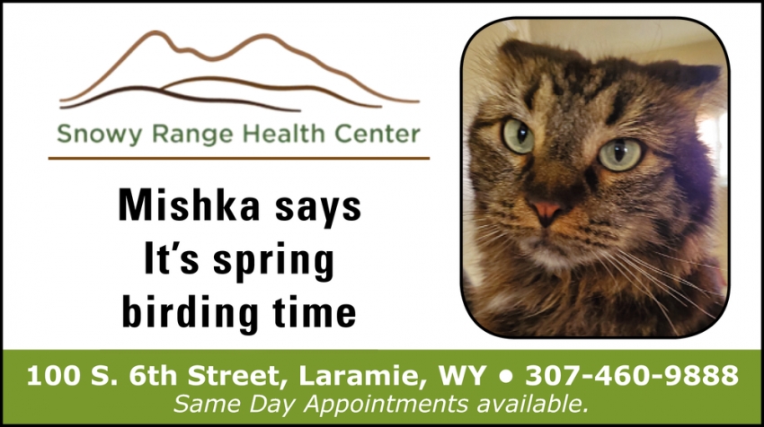 Mishka Says It's Spring Birding Time