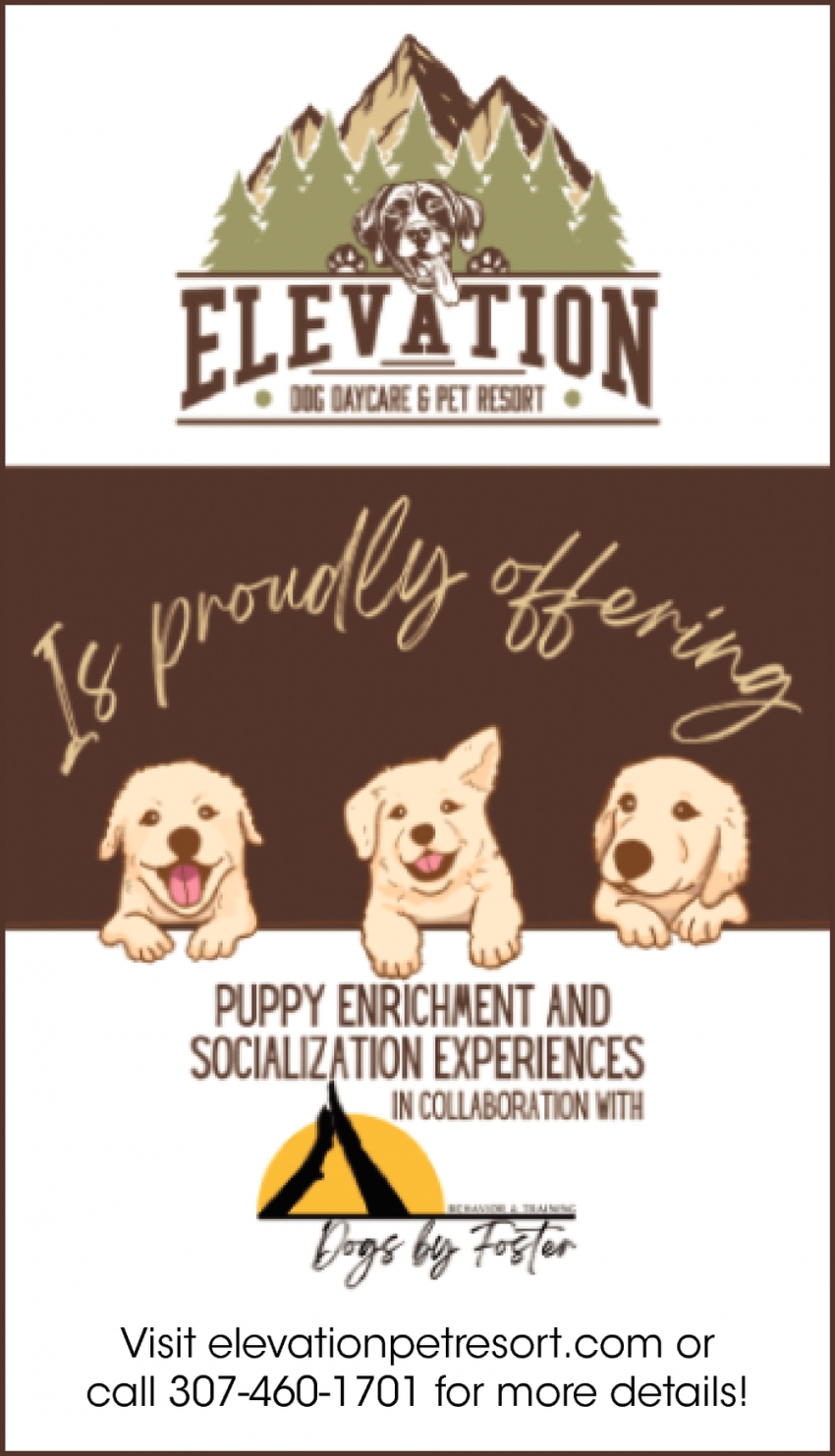 Puppy Enrichment and Socialization Experiences