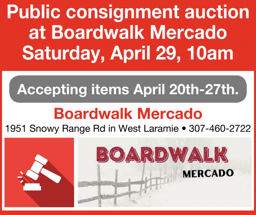 Public Consignment Auction