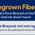 Homegrown Fiber Internet from Bluepeak