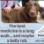 The Best Medicine is a Long Walk... and Maybe a Belly Rub