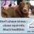 Don't Chase Stress - Chase Squirrels. Much Healthier