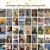 Laramie High School Graduates 