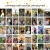 Laramie High School Graduates