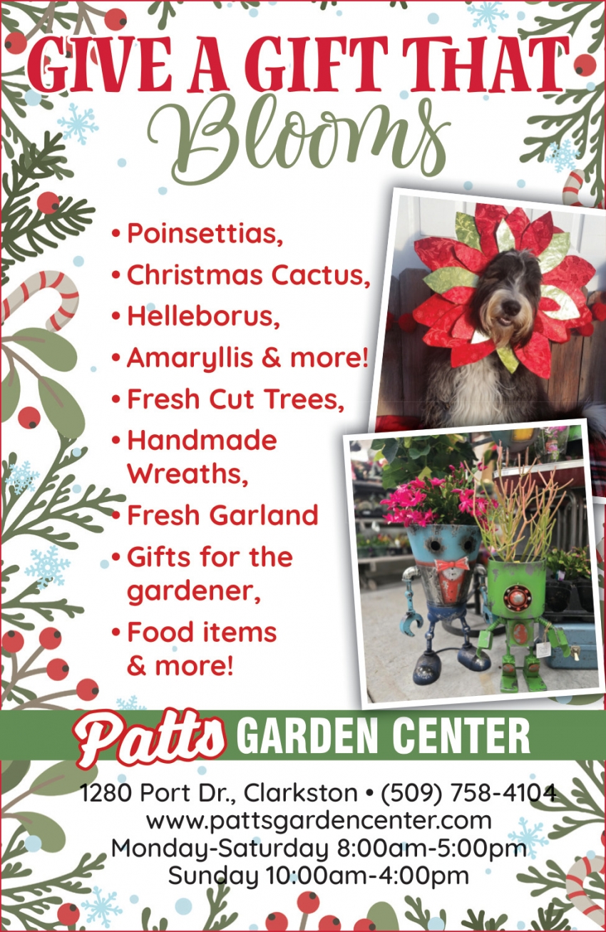 Give a Gift that Blooms