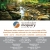 Insurance Services