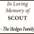In Loving Memory of Scout