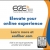 Elevate You Online Experience