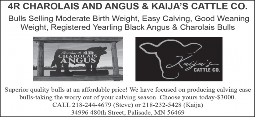 4R Charolais and Angus - Kaija's Cattle Co.