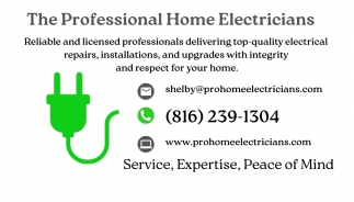 The Professional Home Electricians
