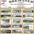 Real Estate Auctions