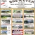 Real Estate Auctions