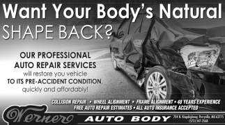 Professional Auto Repair Services