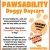 Pawsability Doggy Daycare