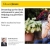 Financial Advisor