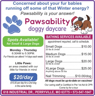 Pawsability Doggy Daycare