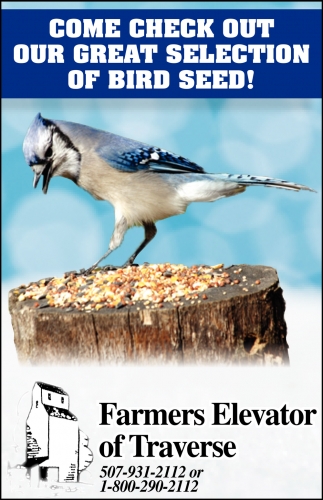 Come Check Out Our Great Selection of Bird Seed!