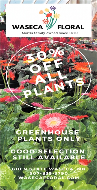 30% OFF All Plants