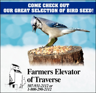 Come Check Out Our Great Selection Of Bird Seed!