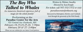 The Boy Who Talked To Whales