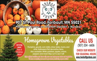 Homegrown Vegetables 