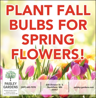 Plant Fall Bulbs for Spring Flowers