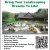 Bring Your Landscaping Dreams to Life!