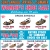 Semi-Annual Spring & Summer Women's Shoe Sale