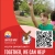 Youth Opportunity