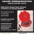 Art Exhibitions