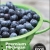 Premium Michigan Blueberries Are Here!