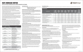 Xcel Energy