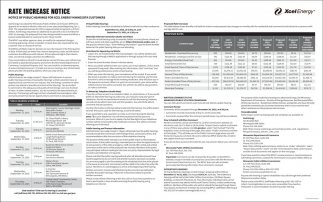 Xcel Energy