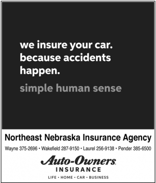 We Insure Your Car. Because Accidents Happen