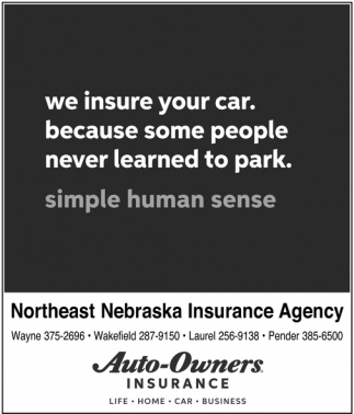 We Insure Your Car. Because Some People Never Learned to Park
