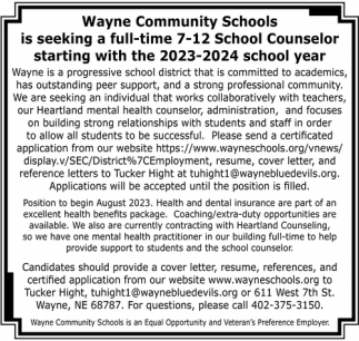School Counselor