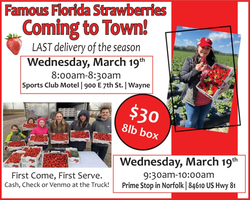 Famous Florida Strawberries