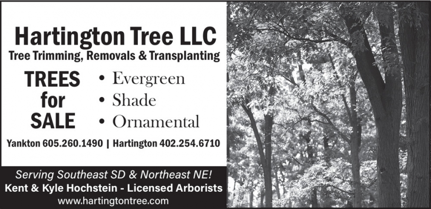 Hartington Tree L.L.C.
