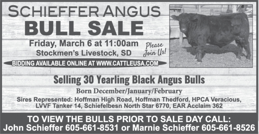 Schieffer Angus Bull Sale