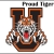 Proud Tiger Supporter!!