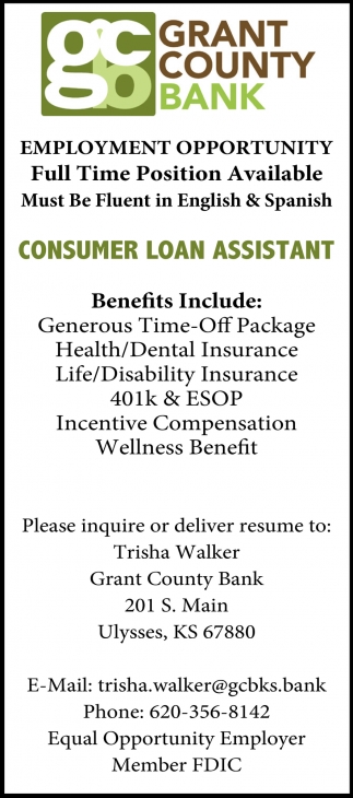 Customer Loan Assistant