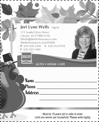 Shelter Insurance: Jeri Lynn Wells