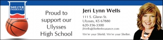 Shelter Insurance: Jeri Lynn Wells