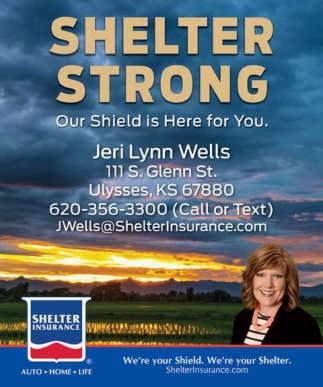 Shelter Insurance: Jeri Lynn Wells