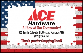 Ace Hardware Ulysses