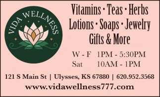 Vida Wellness