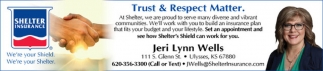 Shelter Insurance: Jeri Lynn Wells